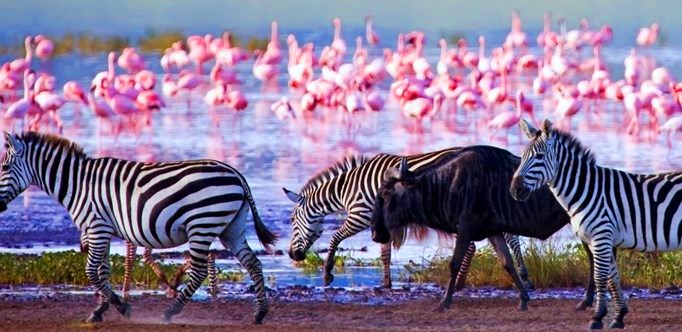 Lake Naivasha