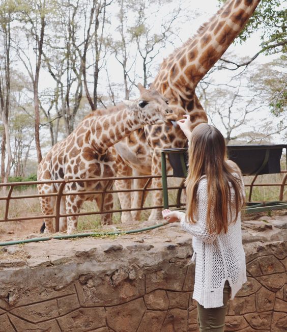 8 Top Attraction in Nairobi