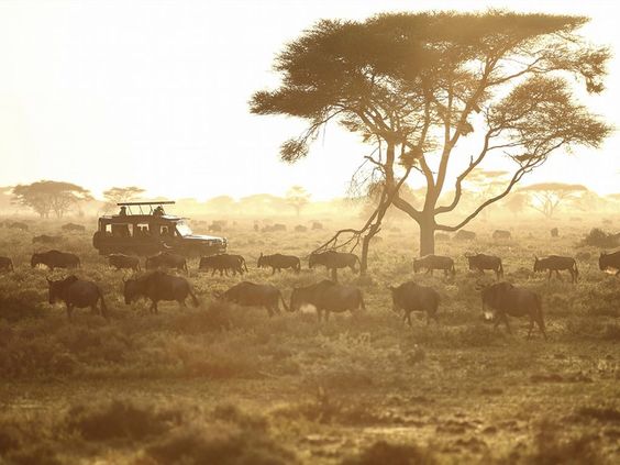 8 Days Tanzania Flying Safari