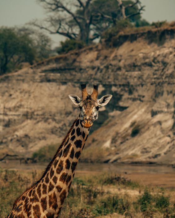 3 Days Lake Mburo National Park Safari