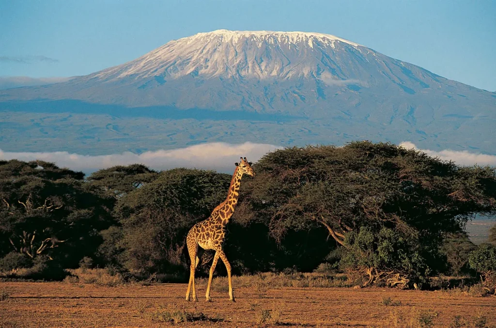 Climbing Mount Kilimanjaro – The Roof of Africa