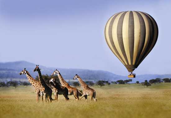 Balloon Safaris in Tanzania