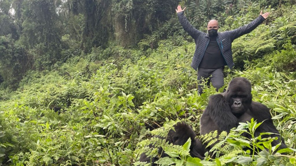 Gorilla Habituation Experience