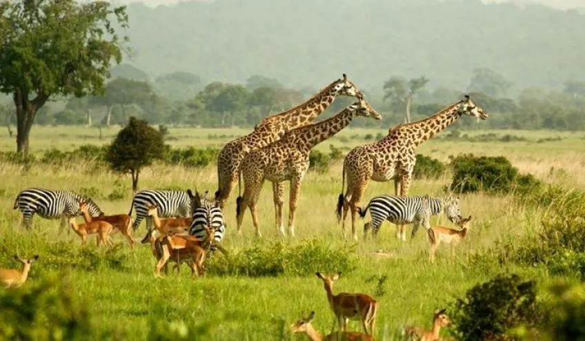 When is the best time to visit The Serengeti?