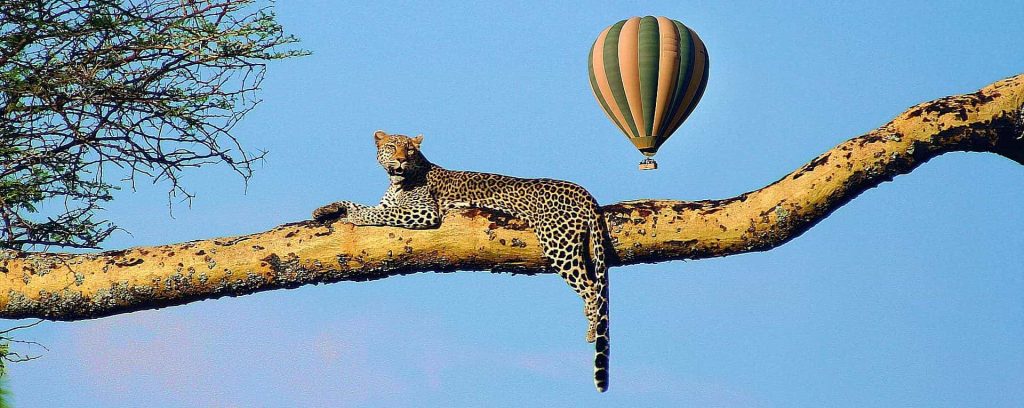 Balloon Safaris in Tanzania