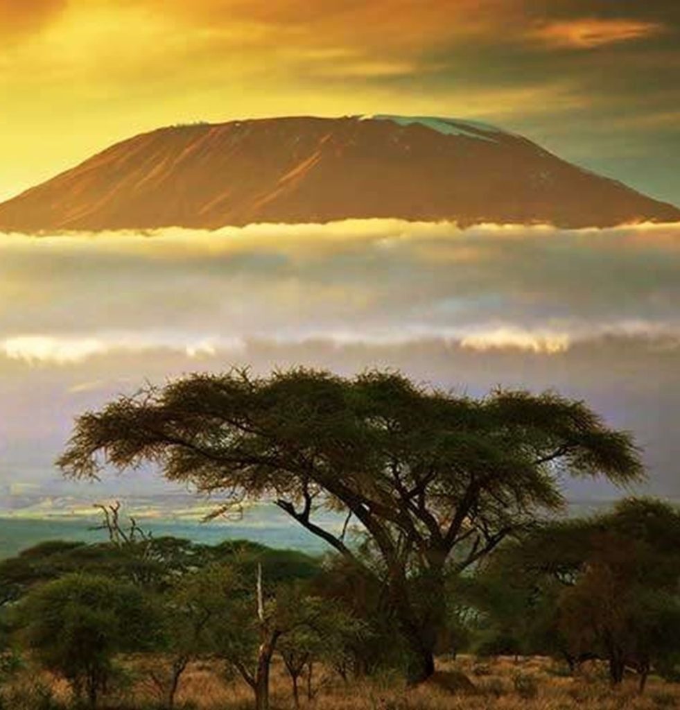 8 Days Mount Kilimanjaro Climb Via 5 Day Marangu Route