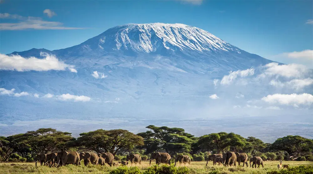 8 Days Mount Kilimanjaro Climb Via 5 Day Marangu Route