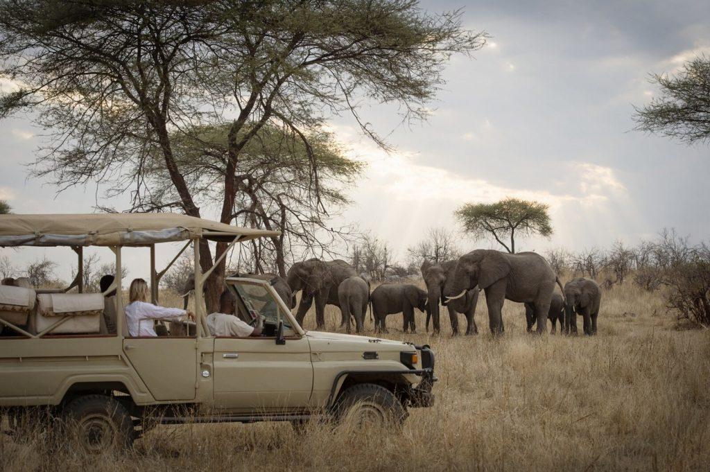 8 Days 7 Nights Lake Manyara Ngorongoro Crater & Serengeti Honeymoon Safari