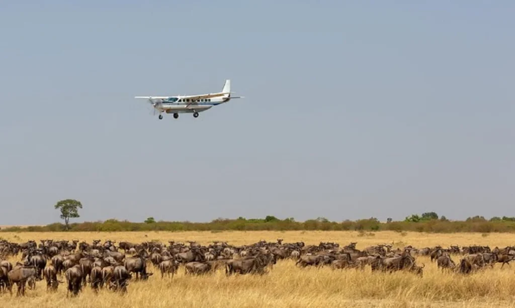 Flights to Masai Mara From Mombasa