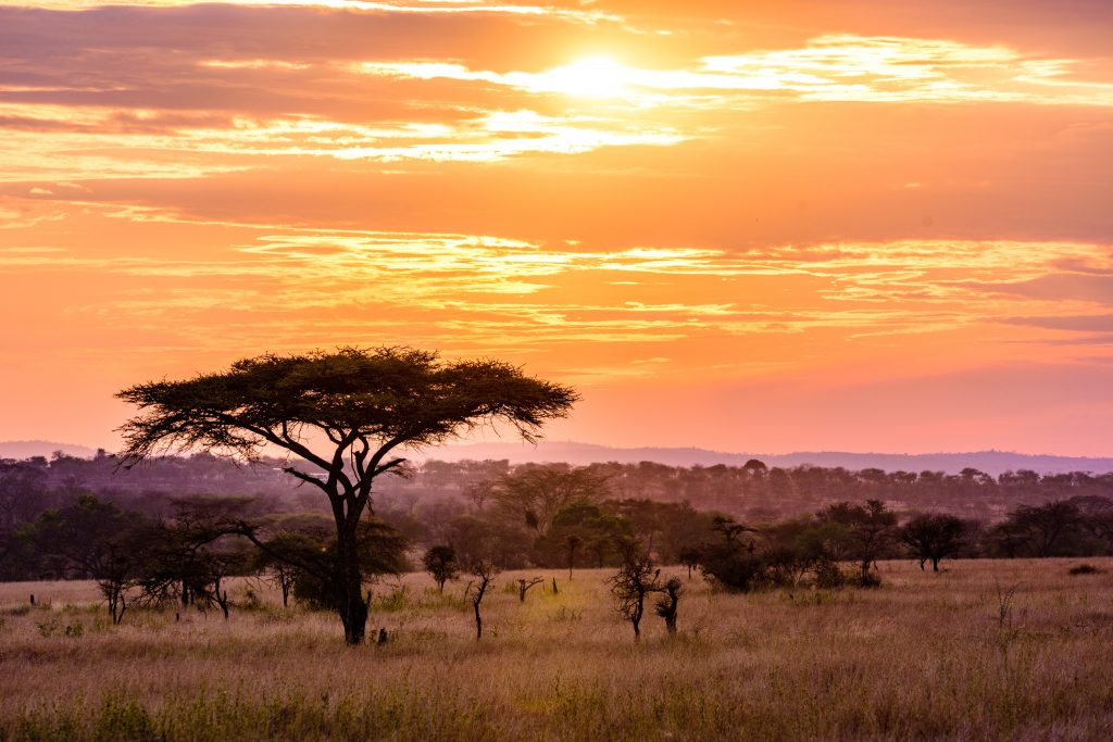 6 Days Luxury Tanzania Safari