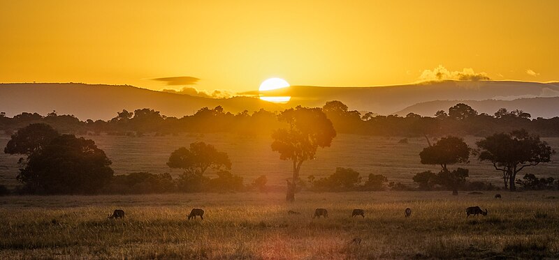 5 Days Masai Mara Safari